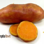 Microwave Magic: Quick & Tasty Sweet Potato Hacks