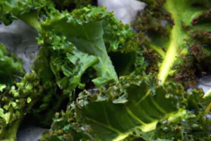 Crunchy & Healthy: Discover Rhythm Foods Kale Chips Magic